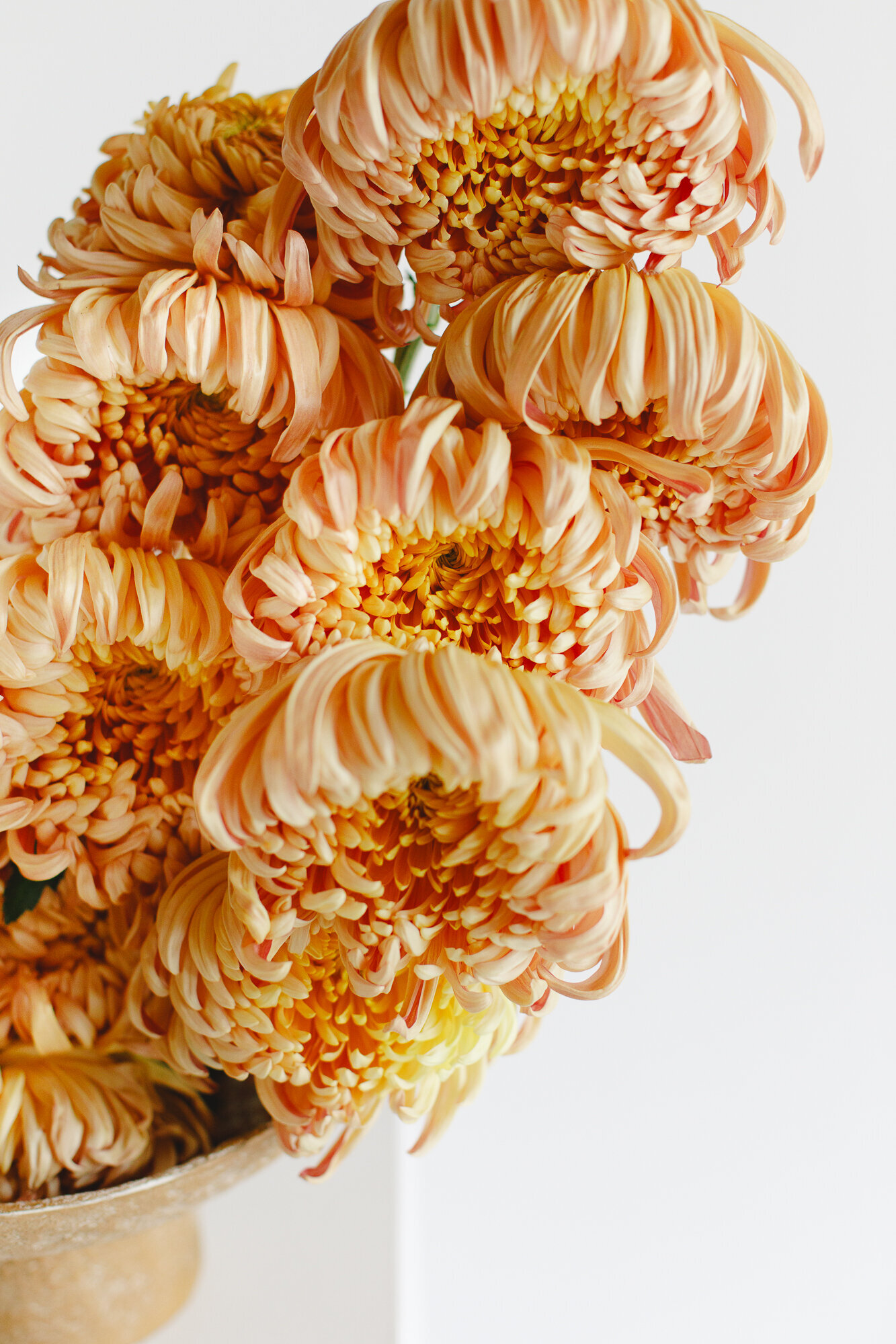 classesflorales_worshop_conceptcollectif_2