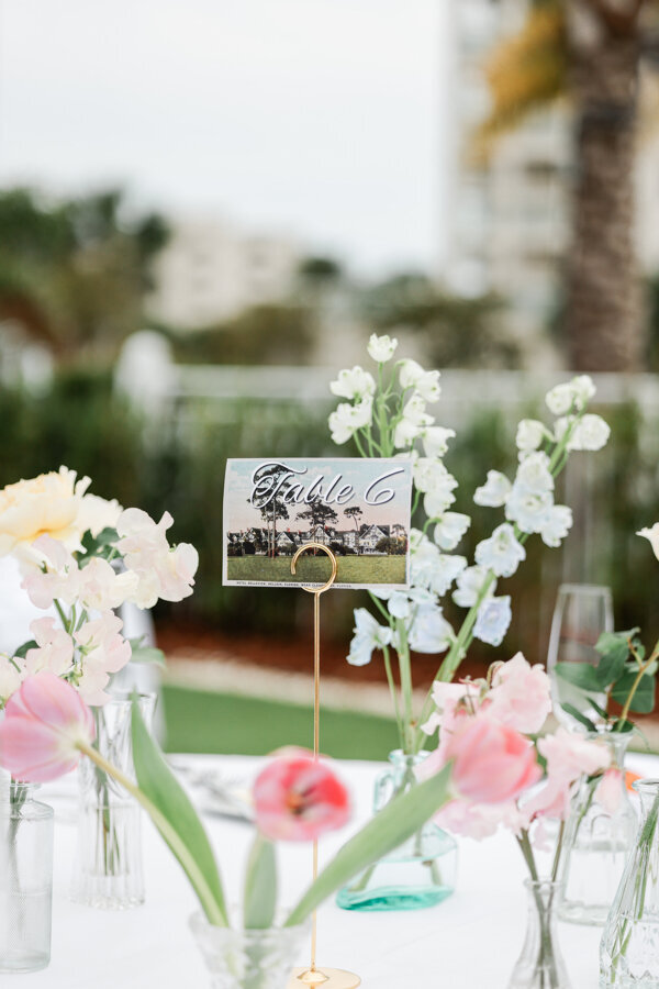 Lifelong_Photography_Studio-327