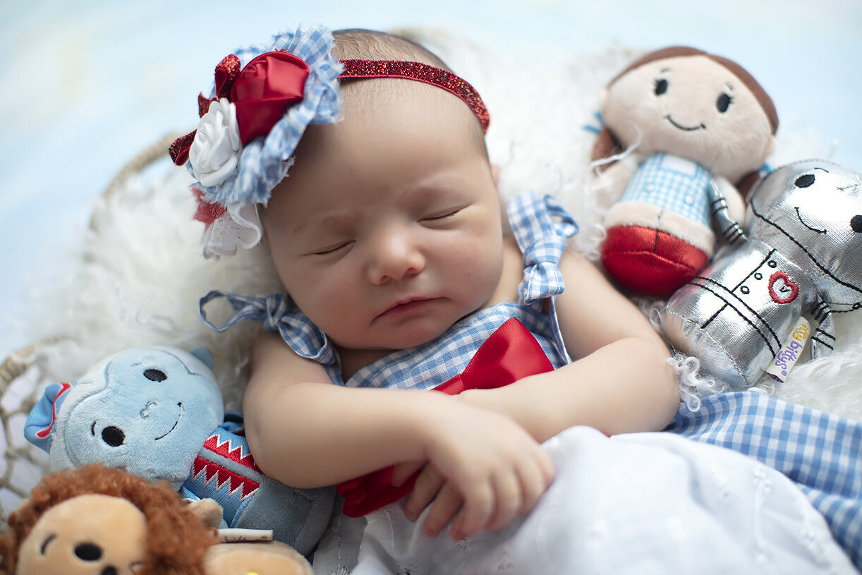 Newborn girl dressed as Dorothy from Wizard of Oz.