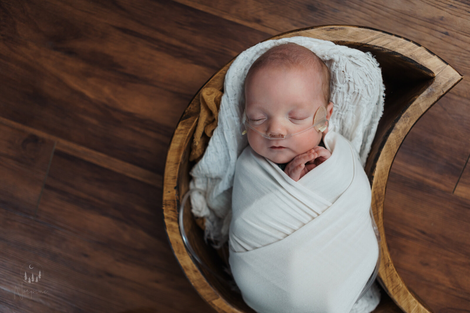 a johannesburg michigan preemie newborn baby wrapped in white, in a wooden moon bowl on a wood floor, taken by norpine photography