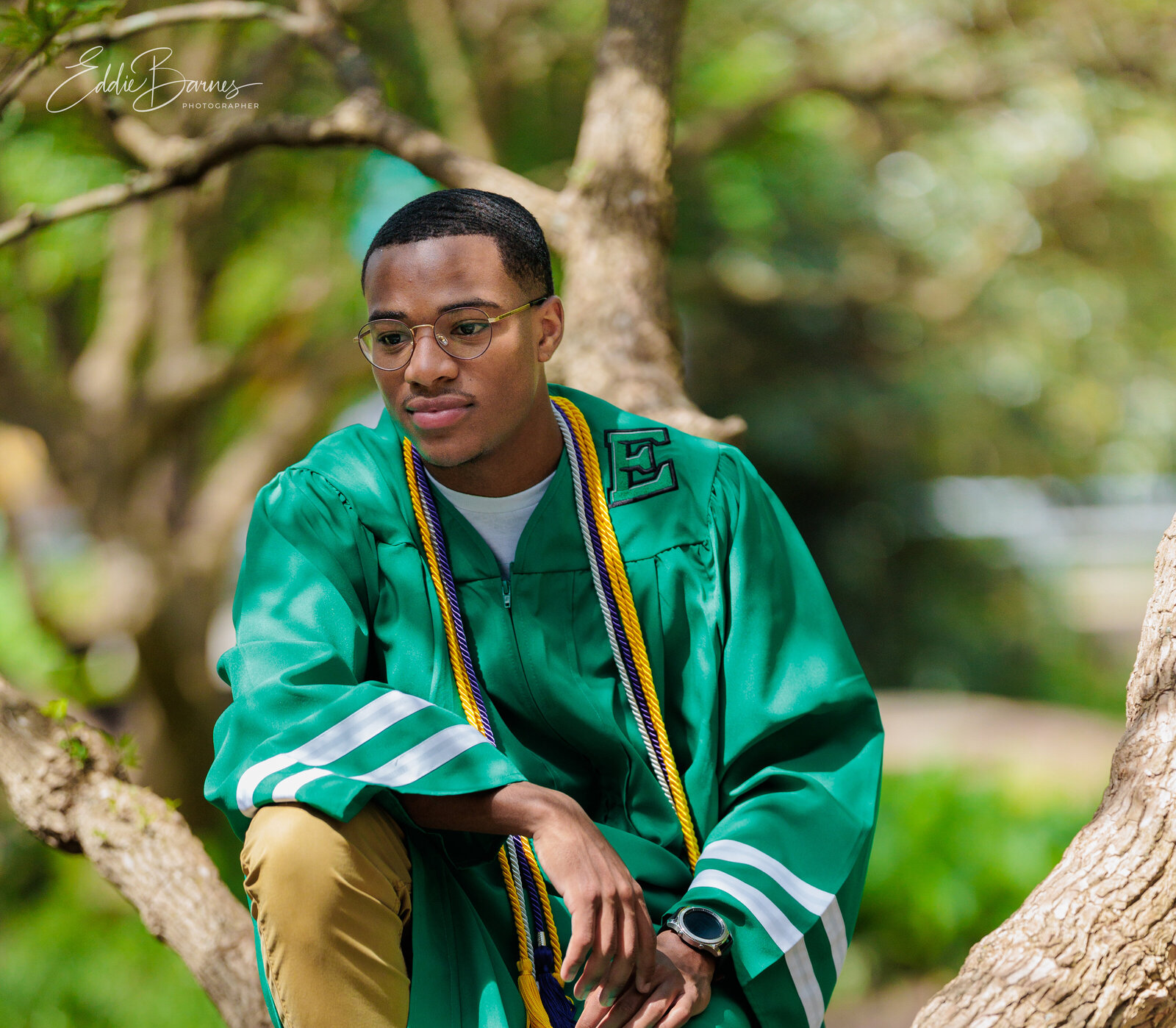 Boy sitting in tree in gown