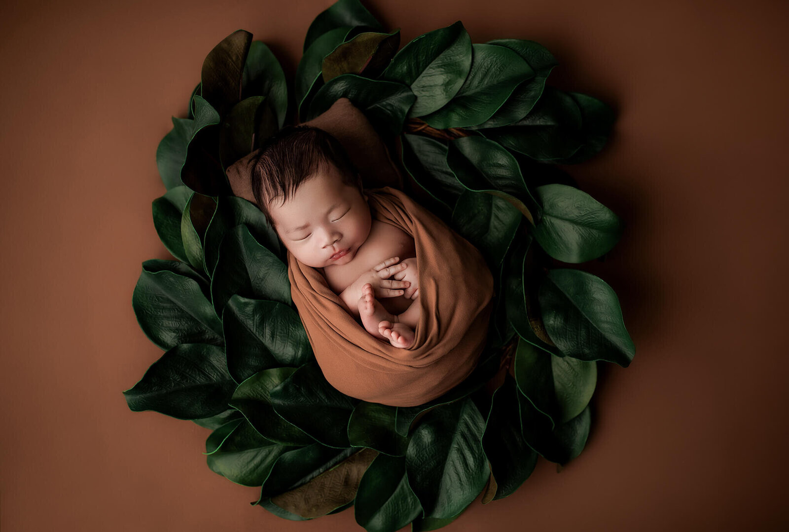 Milwaukee Newborn Photography (5)