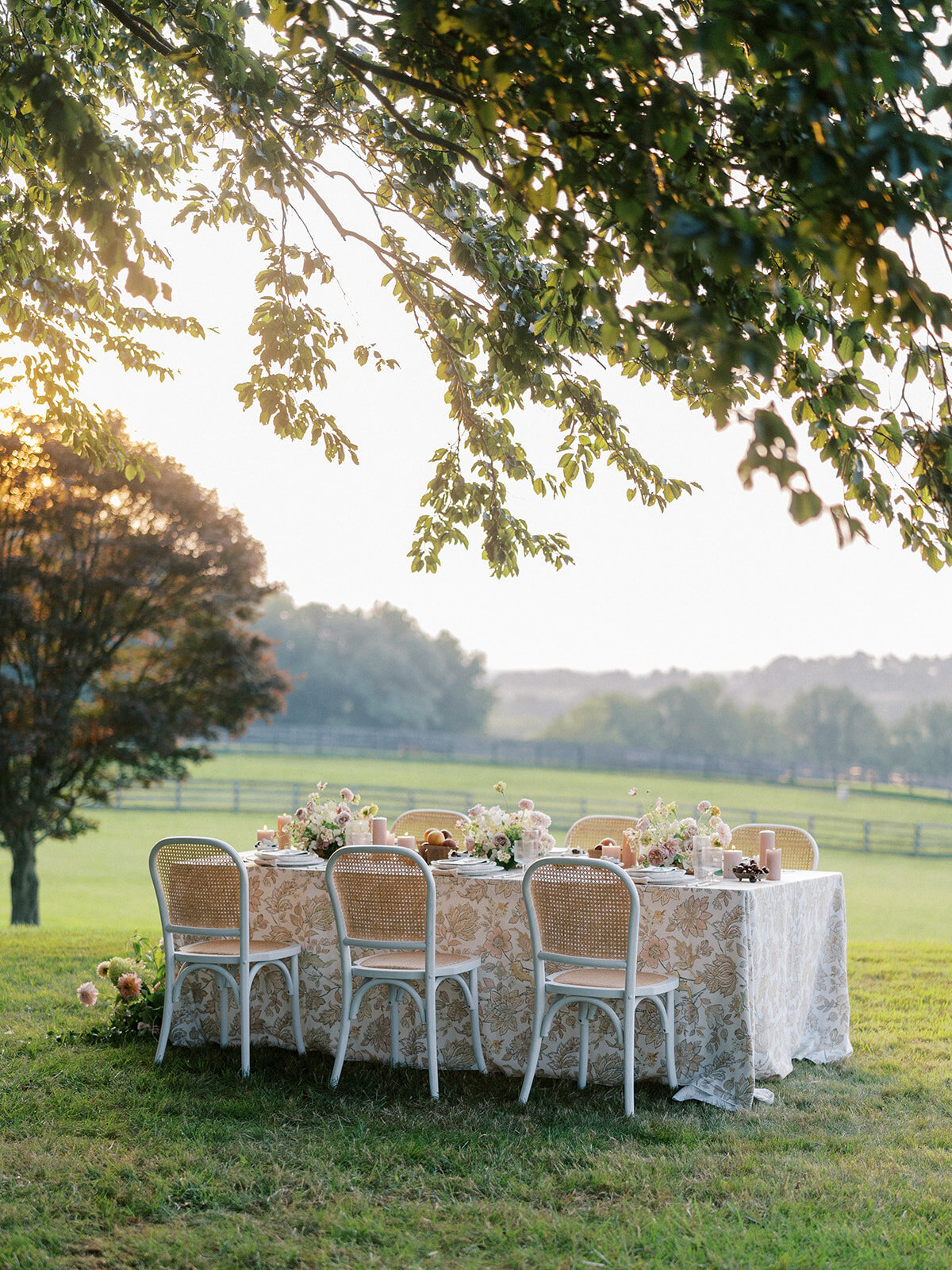 Long table  overlooking Harford Hills landscape with floral-patterned linen with blush pillar candles, fresh fruit and blush, taupe, cream and mauve wispy floral compotes going down the length of the table.