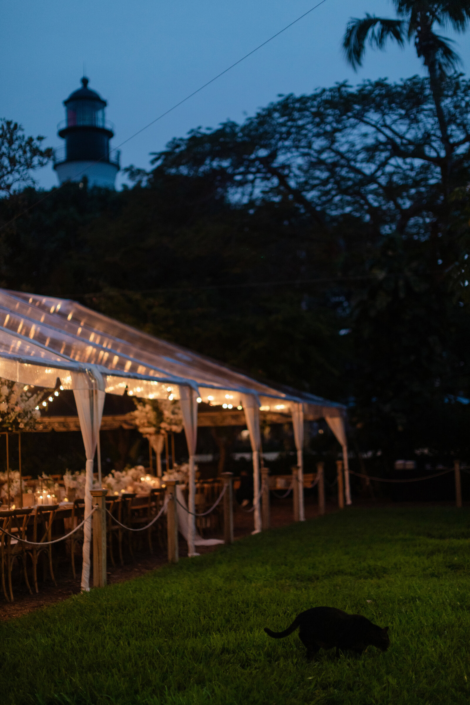 hemingway home key west, destination wedding planner, key west bride, key west wedding rentals, eventfully yours rentals, duarte floral design