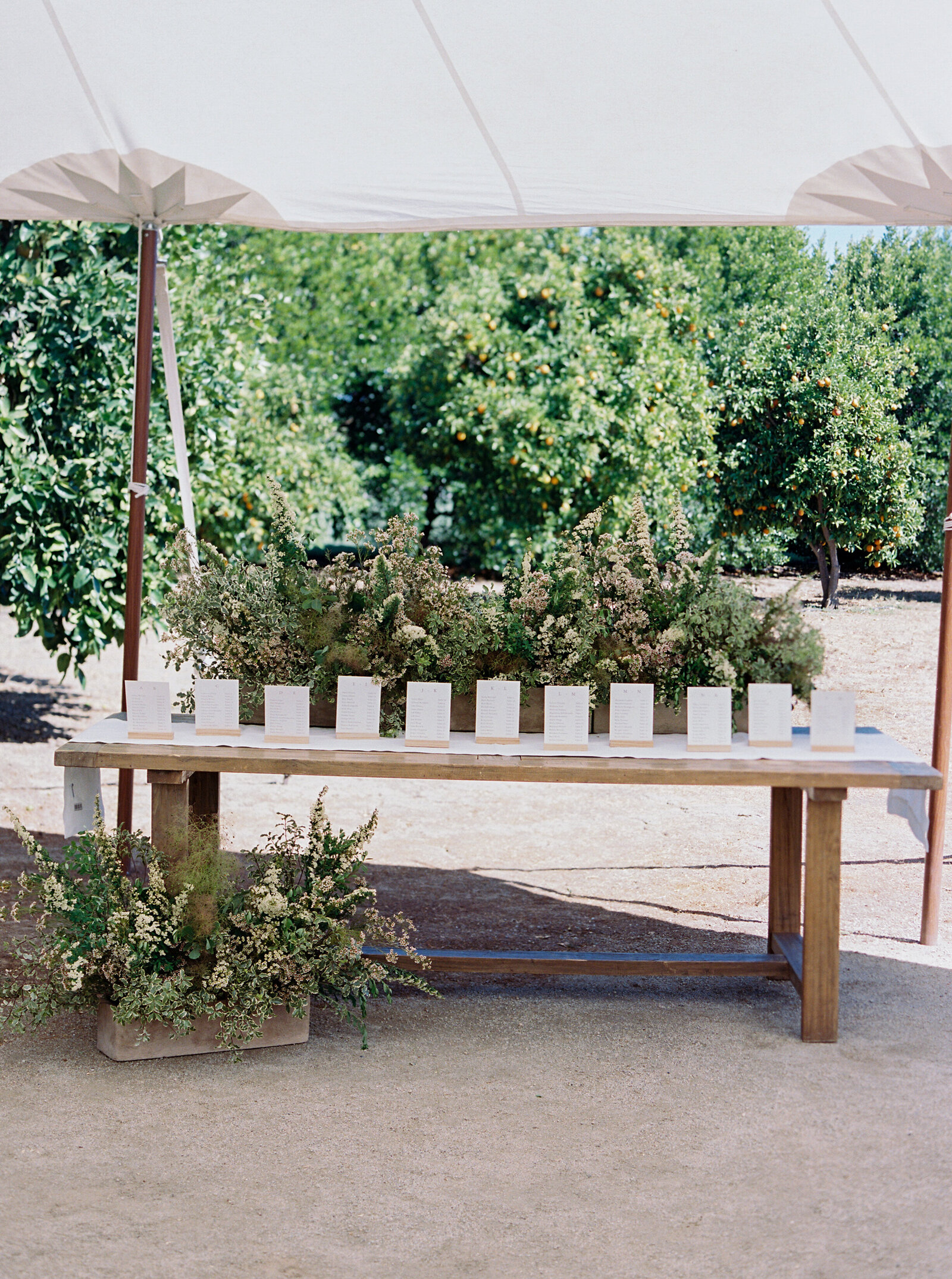 Erini-and-cole-wedding-Kristine-herman-photgraphy-1157