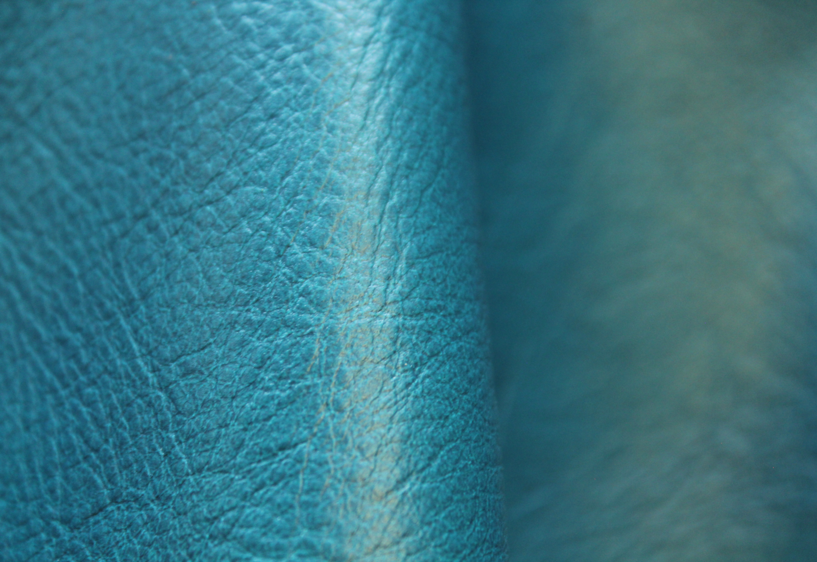 Amadeus  Aquamarine Leather