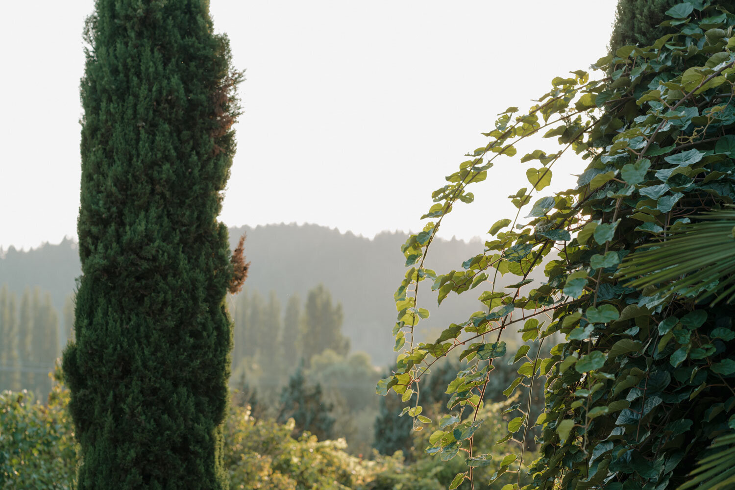 Washington-Wedding-Venue-Chateau-Lill-Garden-Wedding-Venue-12