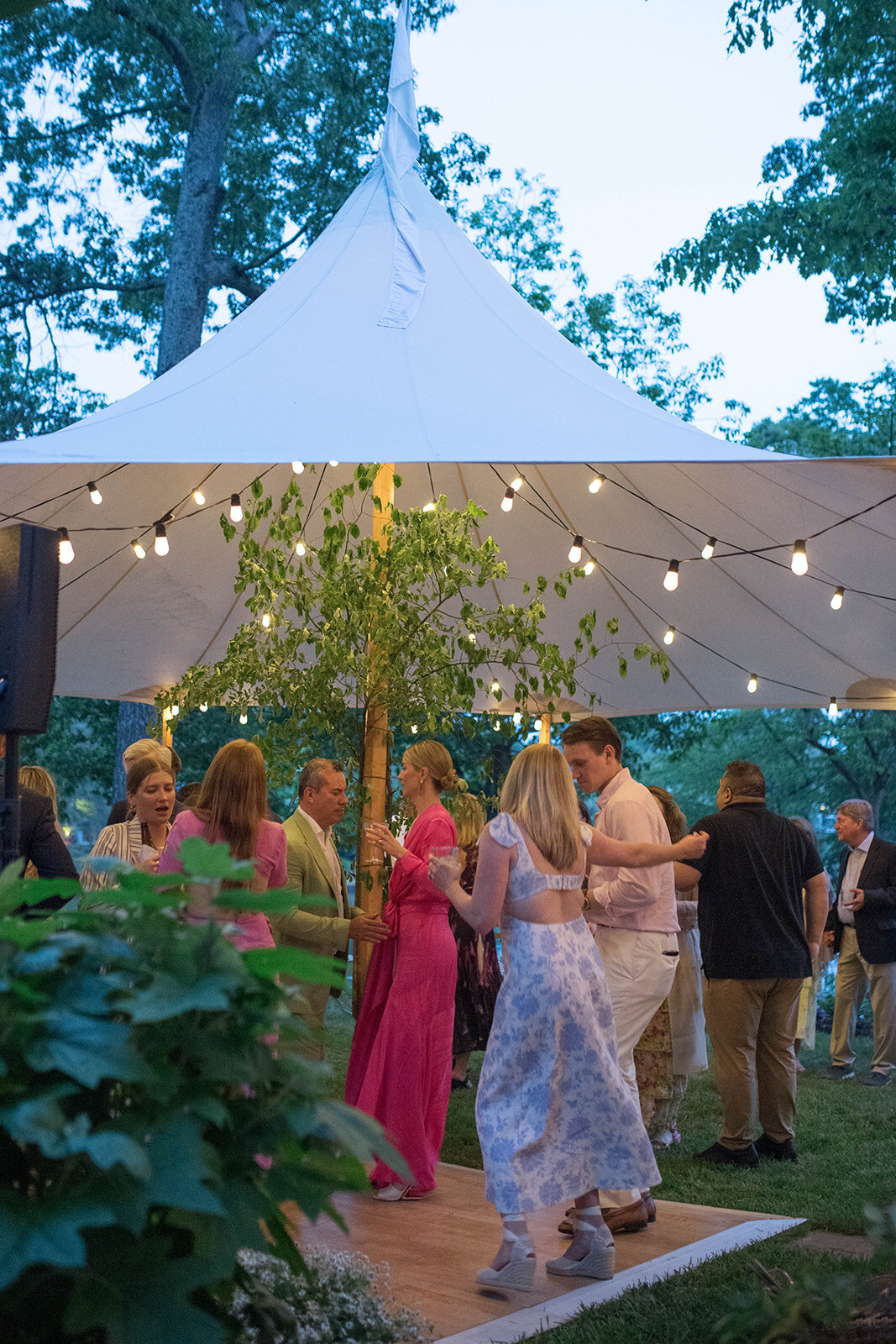 Tented backyard wedding with string lights and tree inside tent.