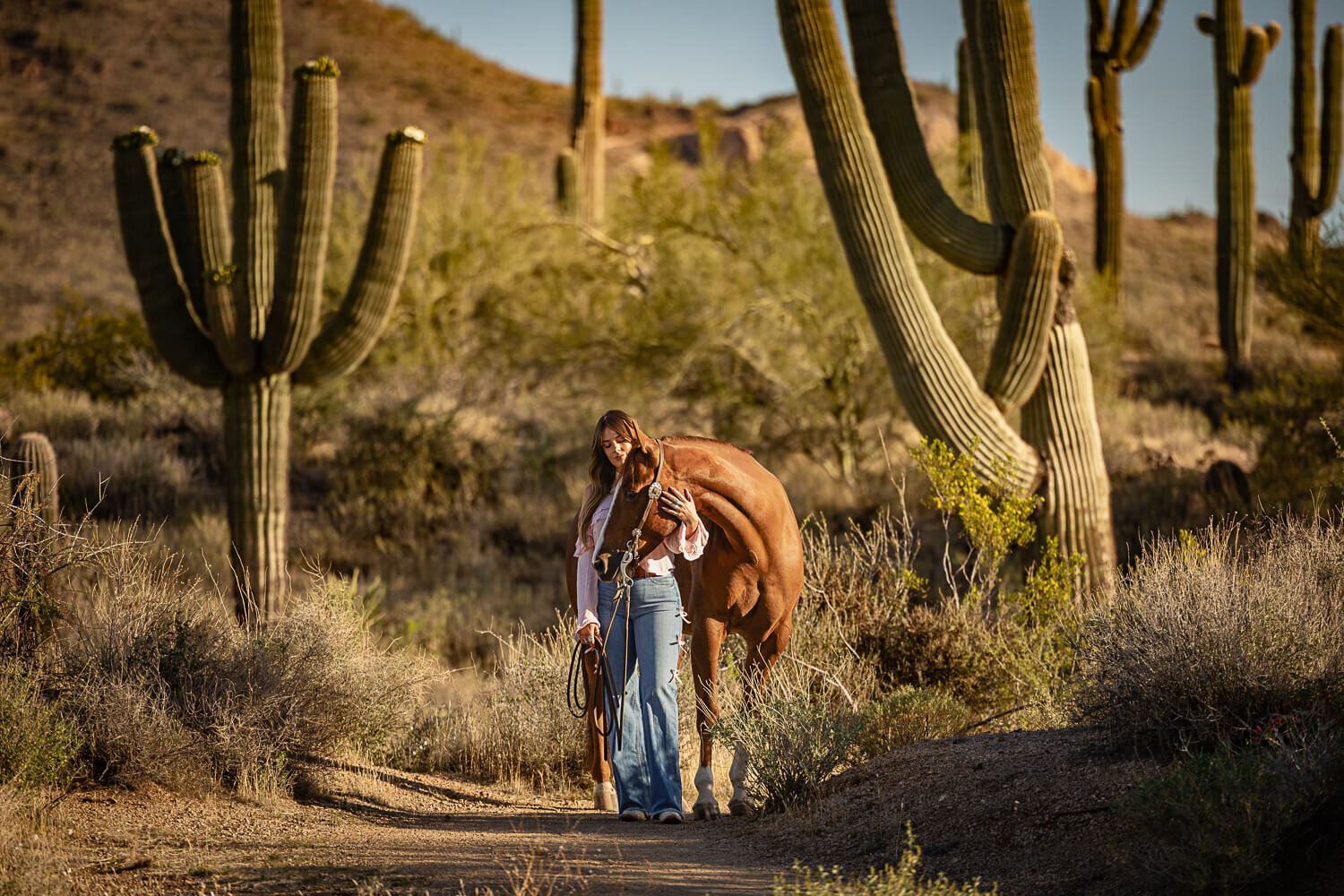 El-Paso-Texas-Horse-Photographer-099