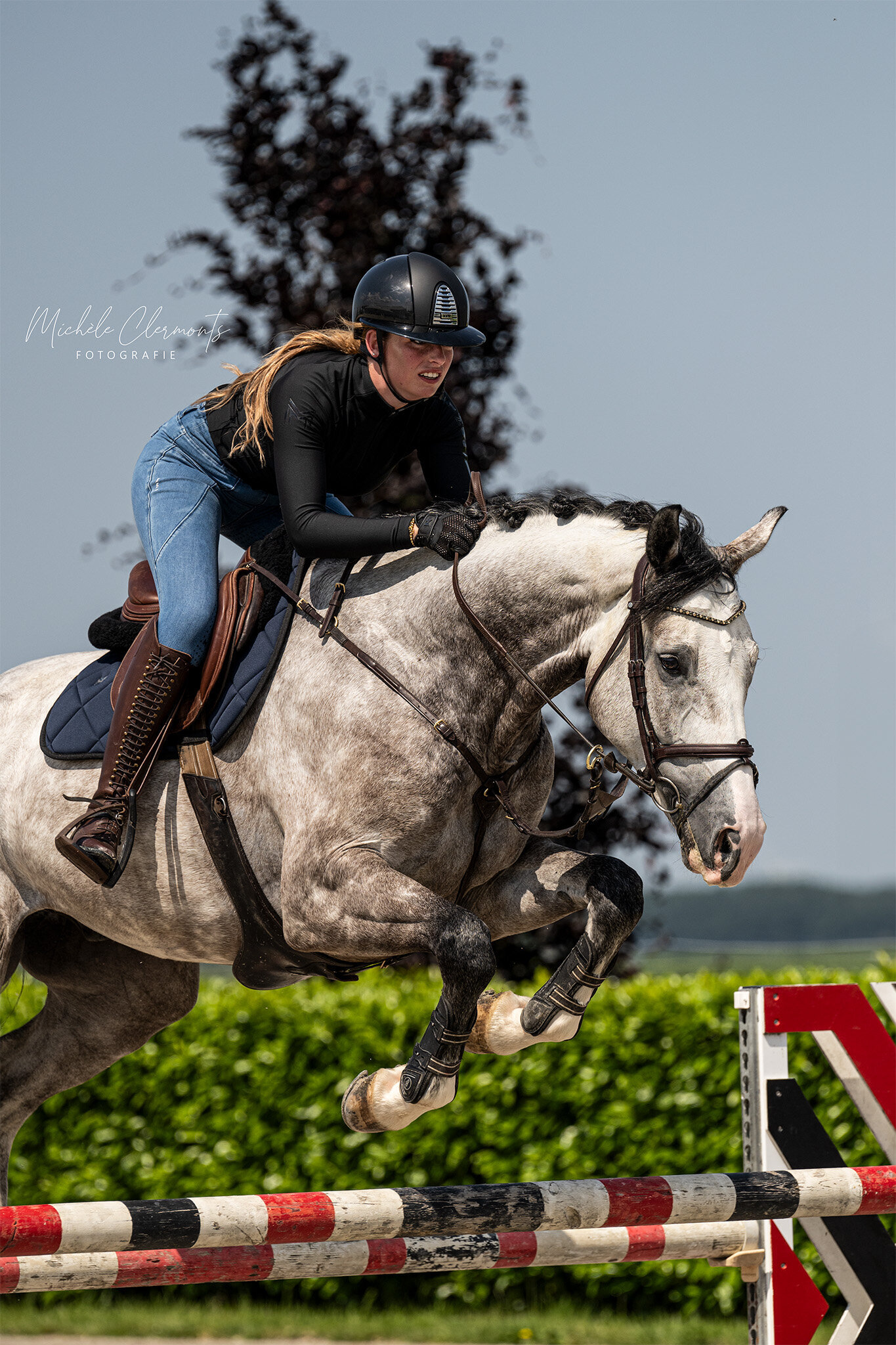 DSC_7708-paardenfotografie-michele-clermonts-fotografie