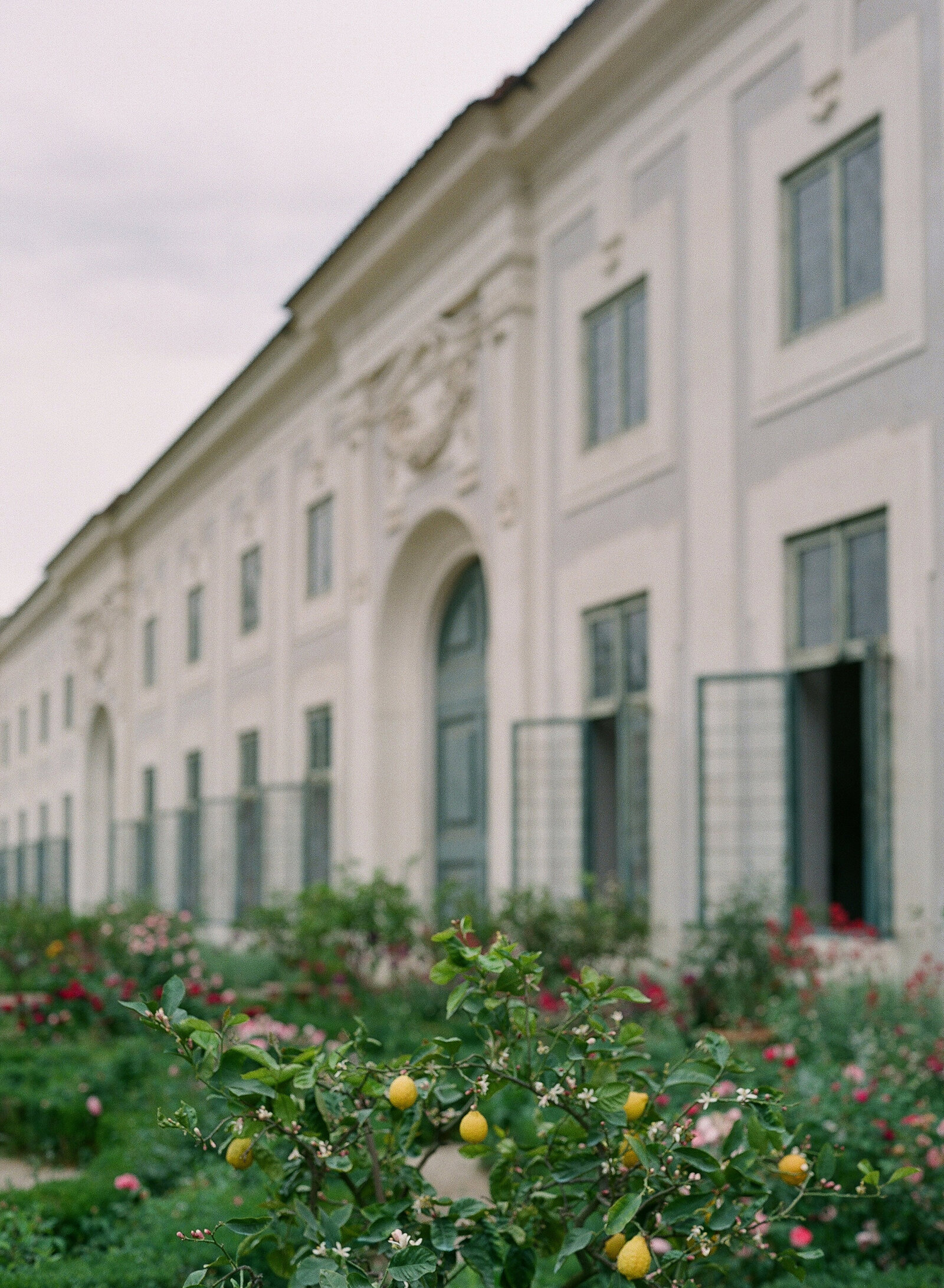 Italy_Florence_37627704_0005©HilaryBlock
