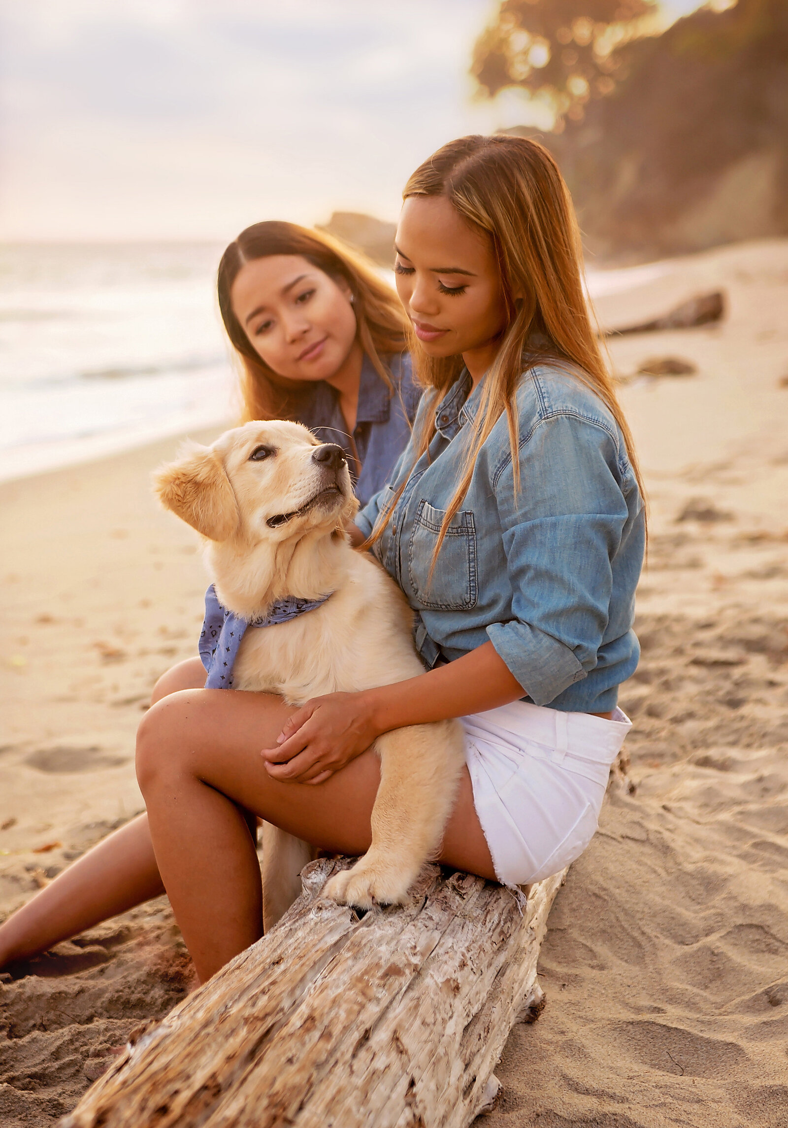 Los-Angeles-pet-photographer-Paw-Prints-Pet-Portraiture-Golden-Retriever-puppy-beach-sisters
