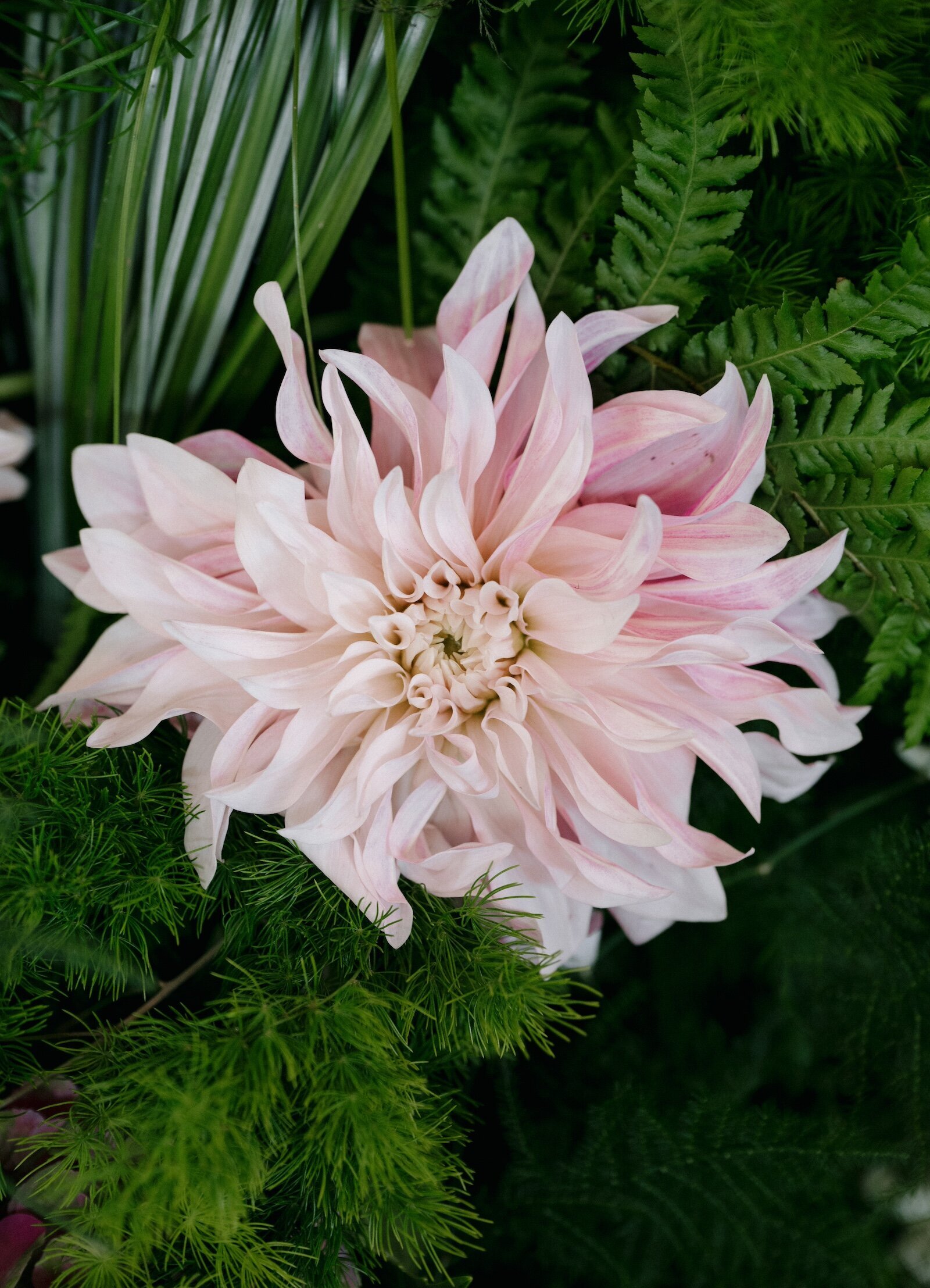 Wedding Florist in Verbier52