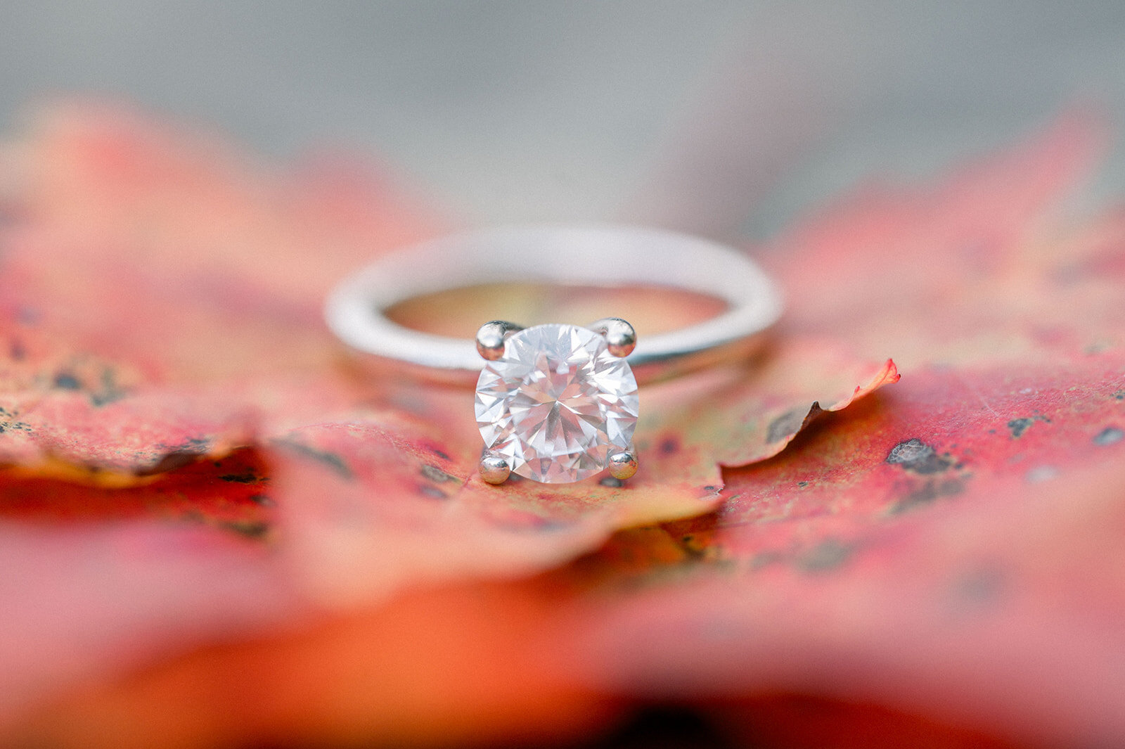 carmen_may_photography_ohiopyle_pa_engagement-46