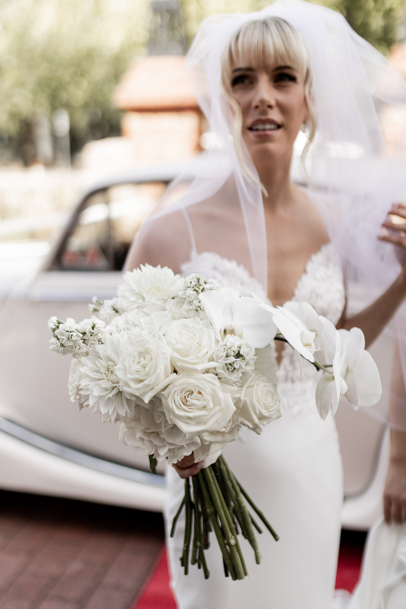 250308-Sophie-Matthew-Rexvil-Photography-Adelaide-Wedding-Photographer-259