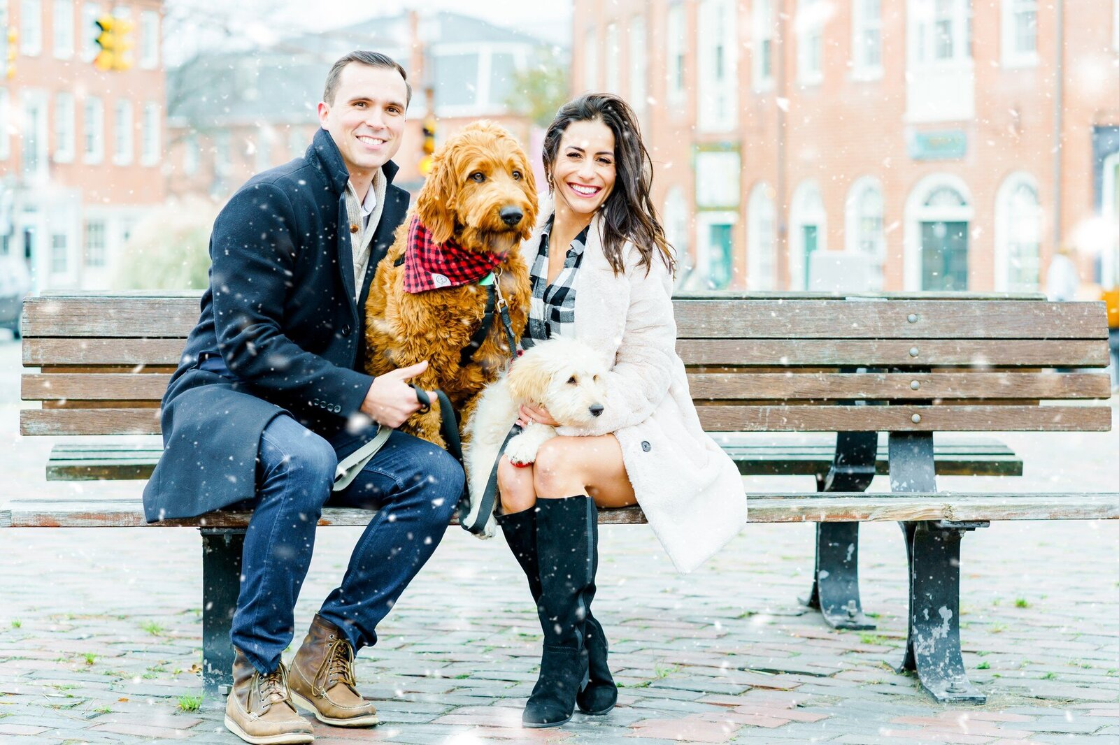 Winter New Hampshire Engagement Photos with Dog sitting on bench