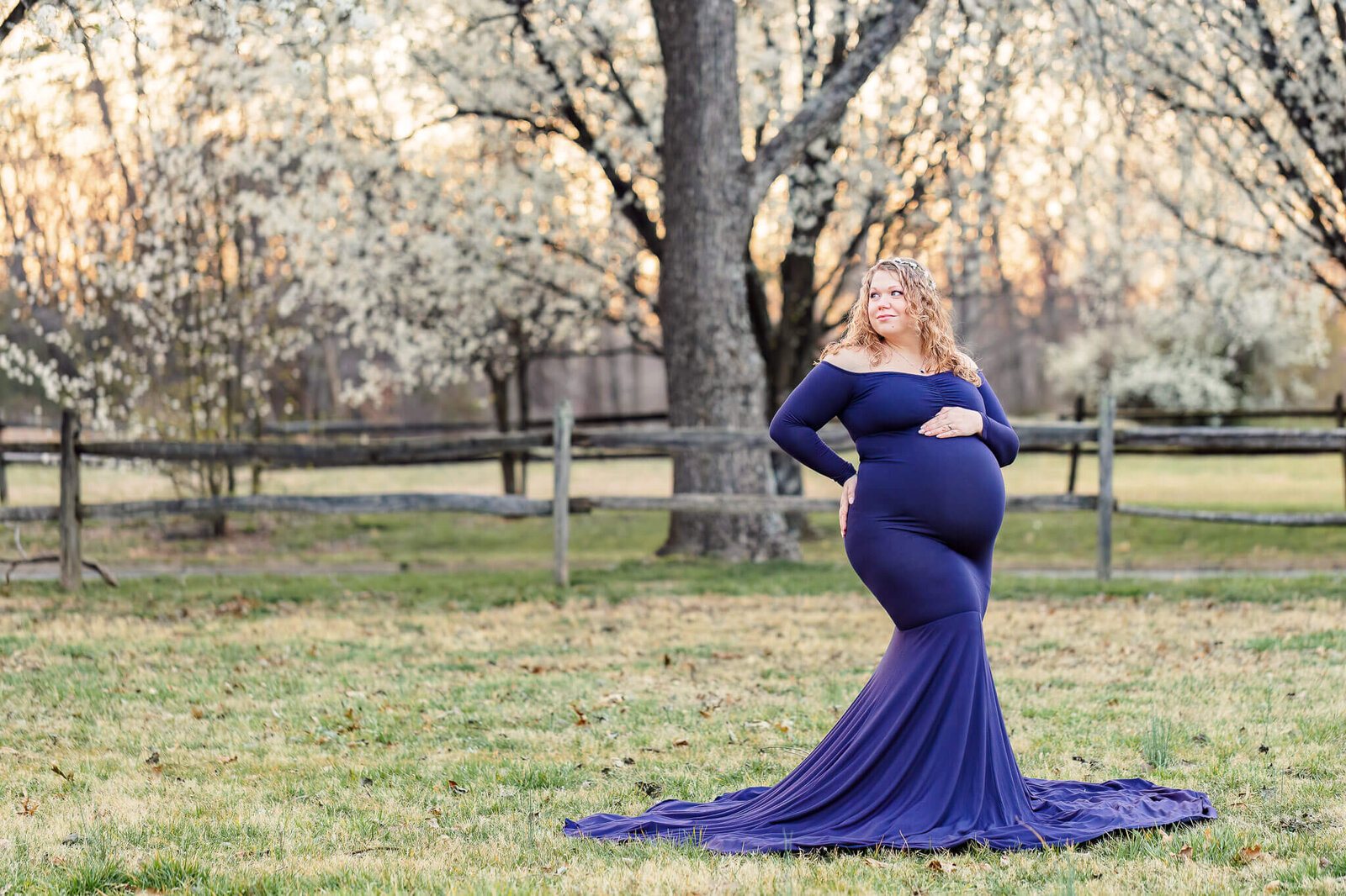 An expecting woman in a blue dress posing in front of spring blossoms in Fairfax County.