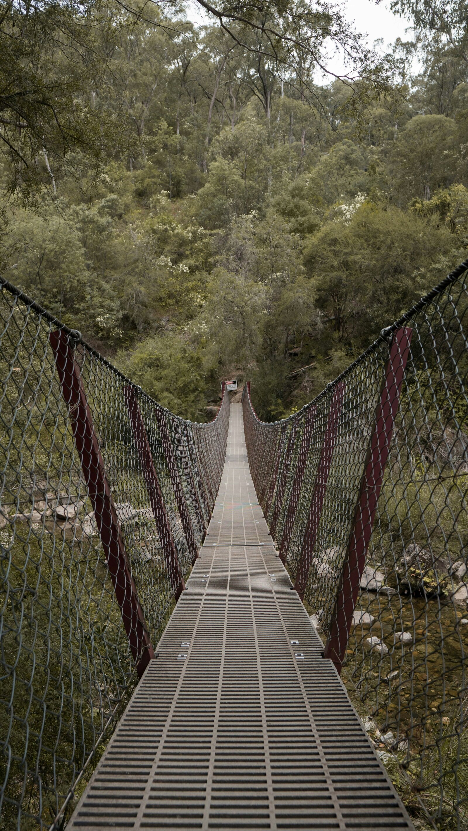 melvin-melvin-yQcAmwk4v1s-unsplash