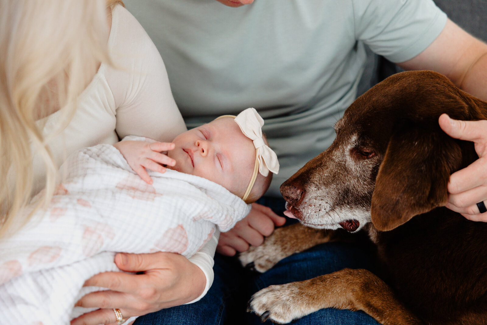 Boston Newborn Photography--51
