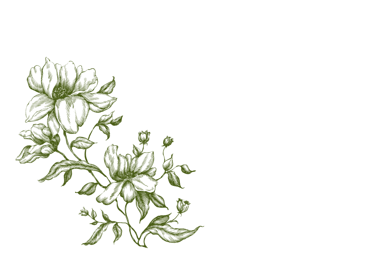 Floral graphic for Everwild Florals in olive green