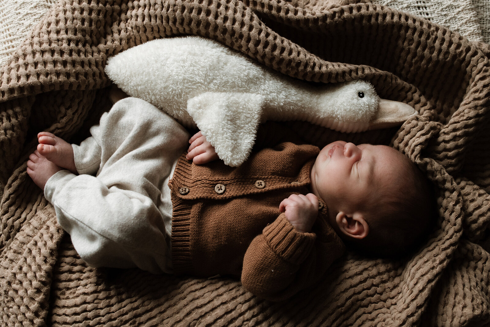 newbornshoot newborn fotoshoot newborn fotograaf fotoshoot baby wanneer een newbornshoot valkenswaard eindhoven la nouk fotografie
