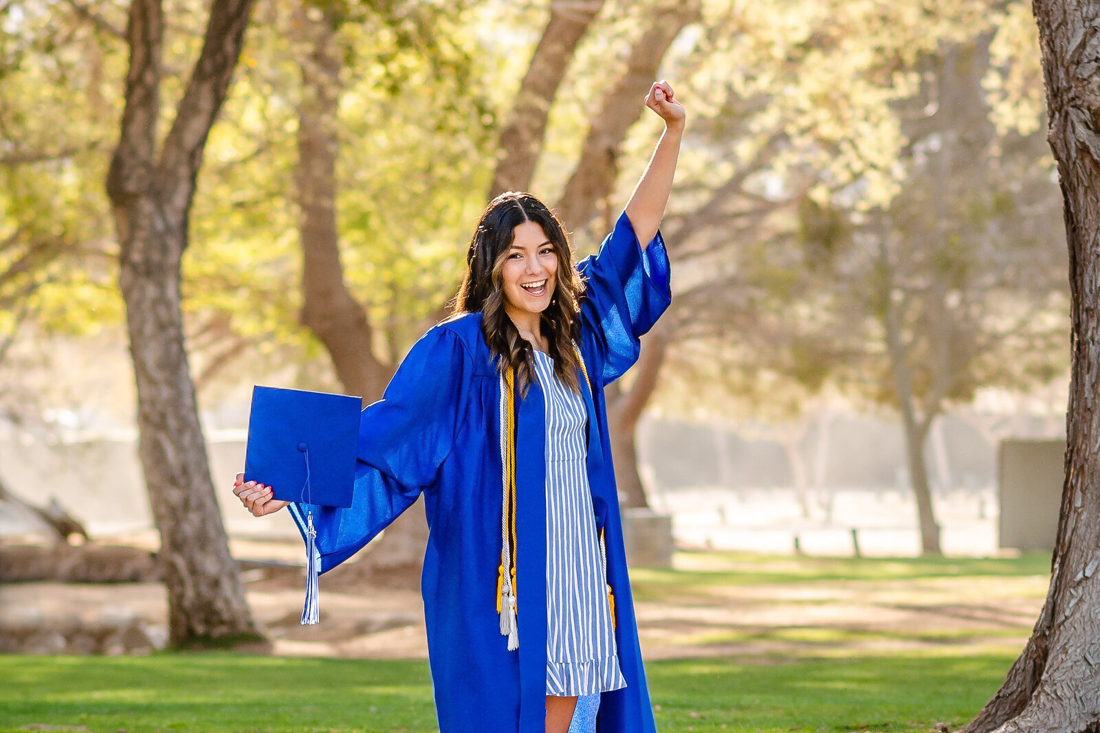 Senior in cap and gown standing on a rock with hand in the air