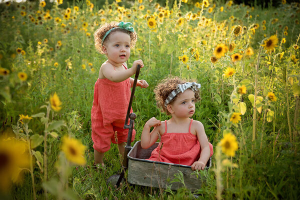 East Brunswick NJ Family Photographer Axcel Farm Sunflowers Twin Girls