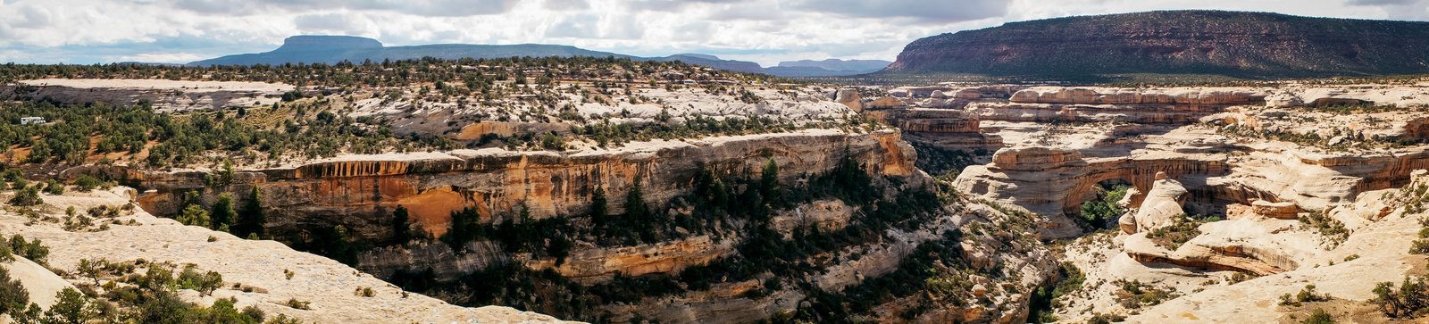 Sasha_Reiko_Photography_Travel_Utah_Arches_Canyon_Lands_Zion_Grand_Canyon-7