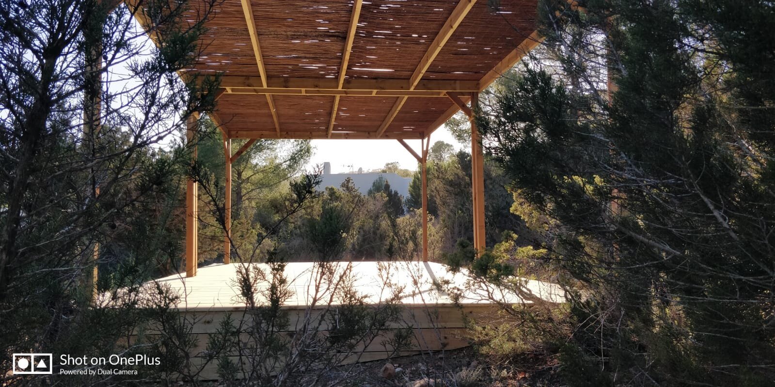 Wild Feminine Womens Retreat Ibiza 2025 (34)