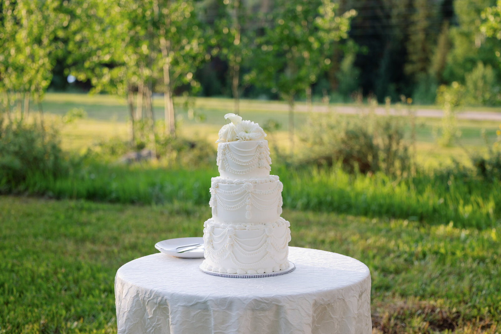 cassidymichael_coloradowedding_stillsbytrinity-59