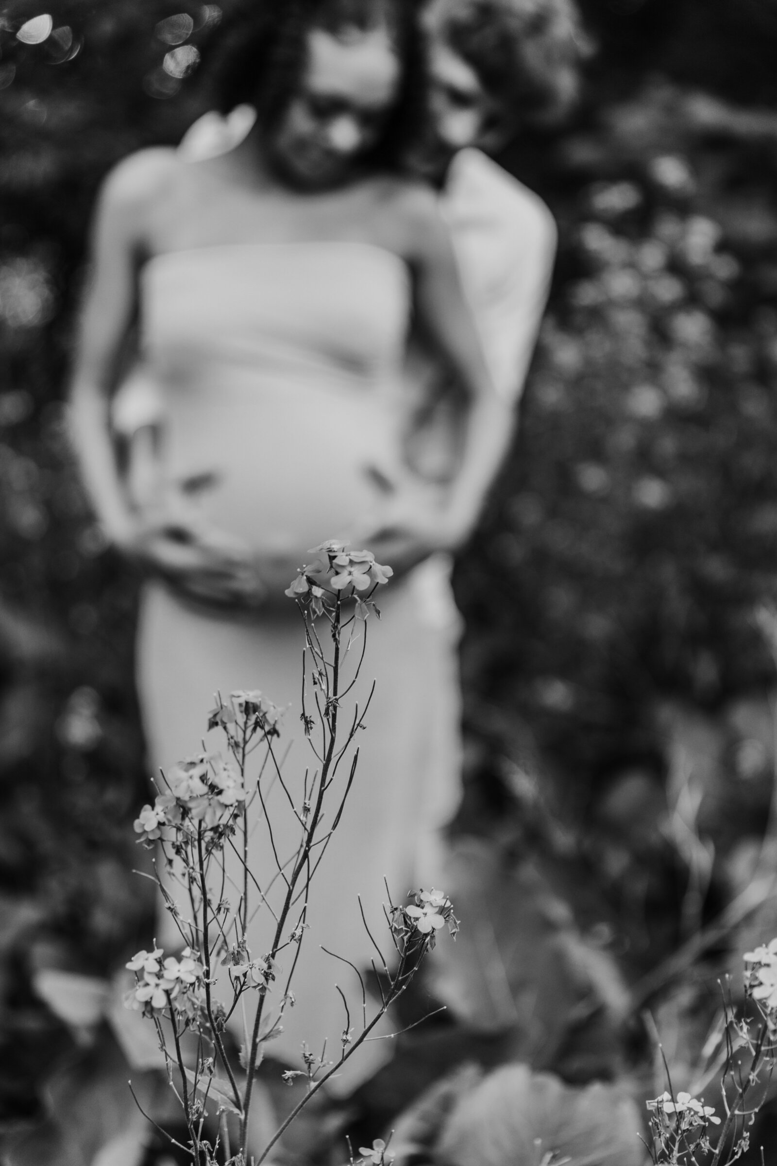 Maternity Pregnancy Photo shoot Fargo, North Dakota-3