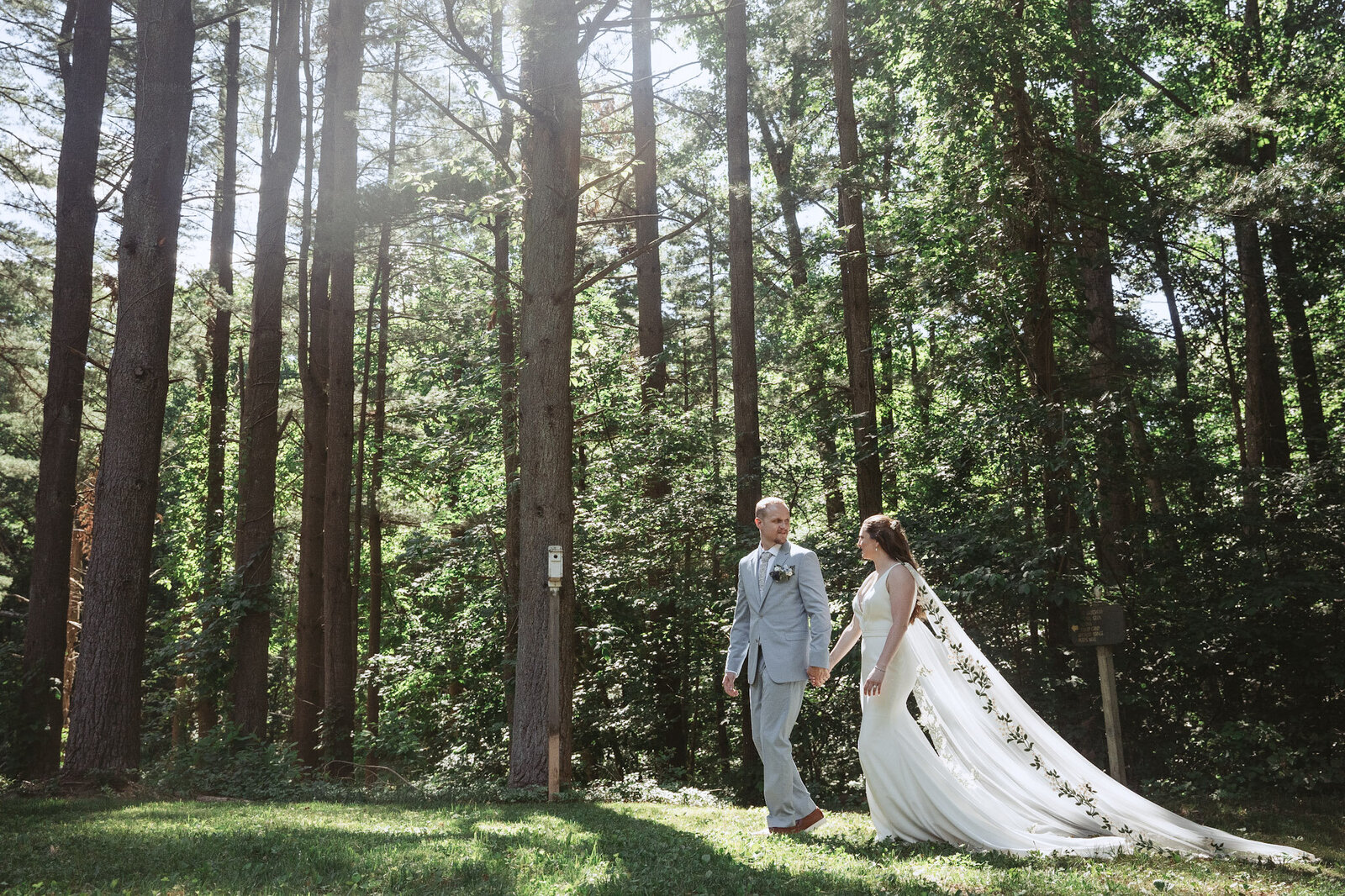 Forrest walk - Baltimore wedding photography