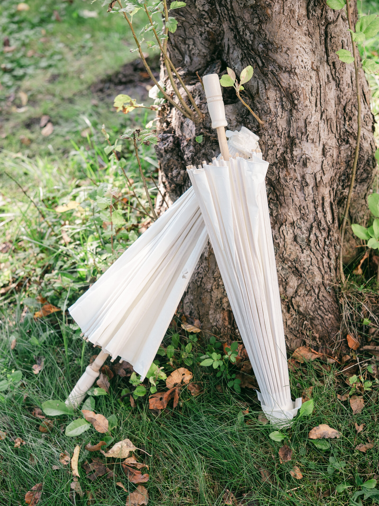812-torianna-brooke-portraiture-overbrook-house-wedding-cape-cod-massachesetts-hailey-aaron