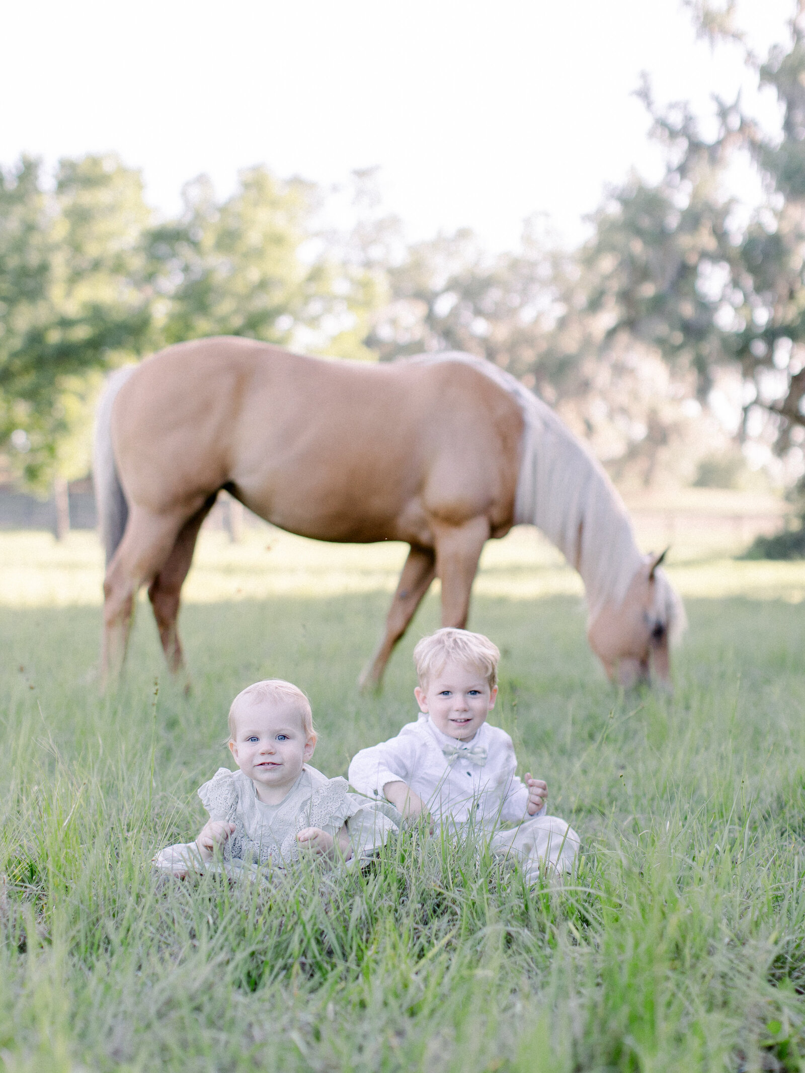Three year old brother and one year old sister sitting in tall grass and smiling while their horse grazes behind them on a horse farm by NH newborn photographer Fieldstone Studio. 