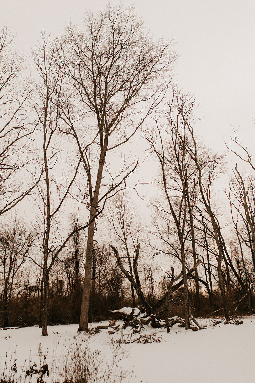 037_Amanda_Tommy_Minimony_12.19.20-106