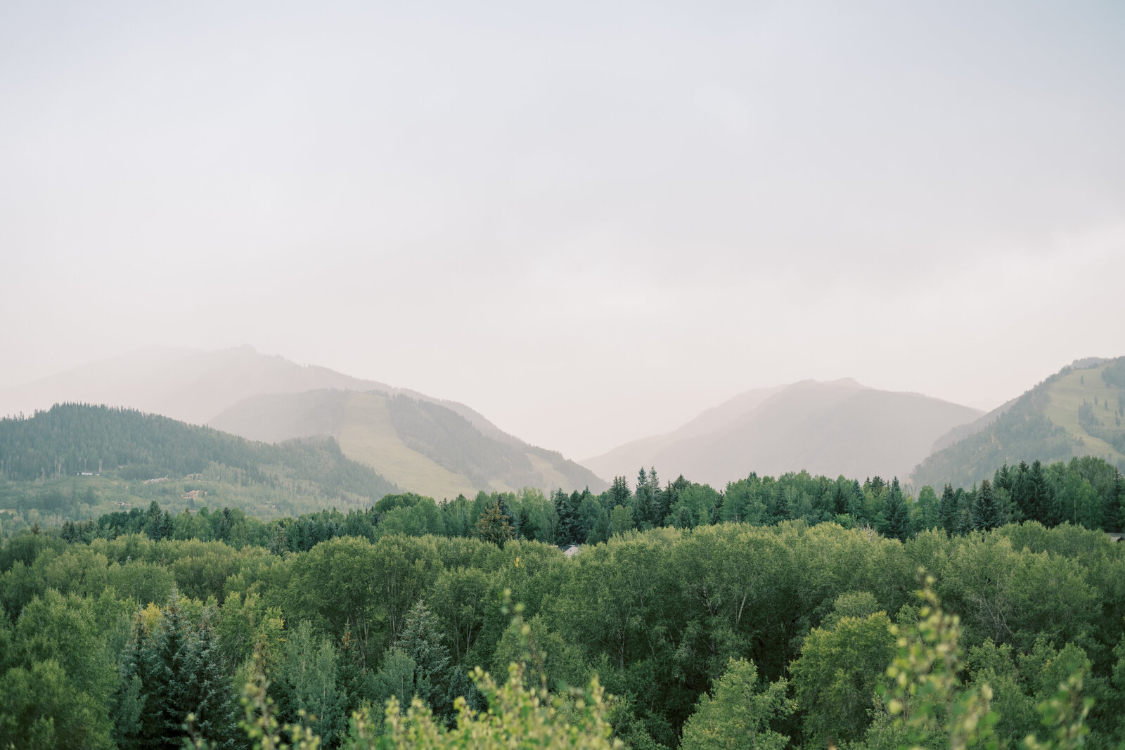 Bridgerton-Inspired Aspen, Colorado summer wedding