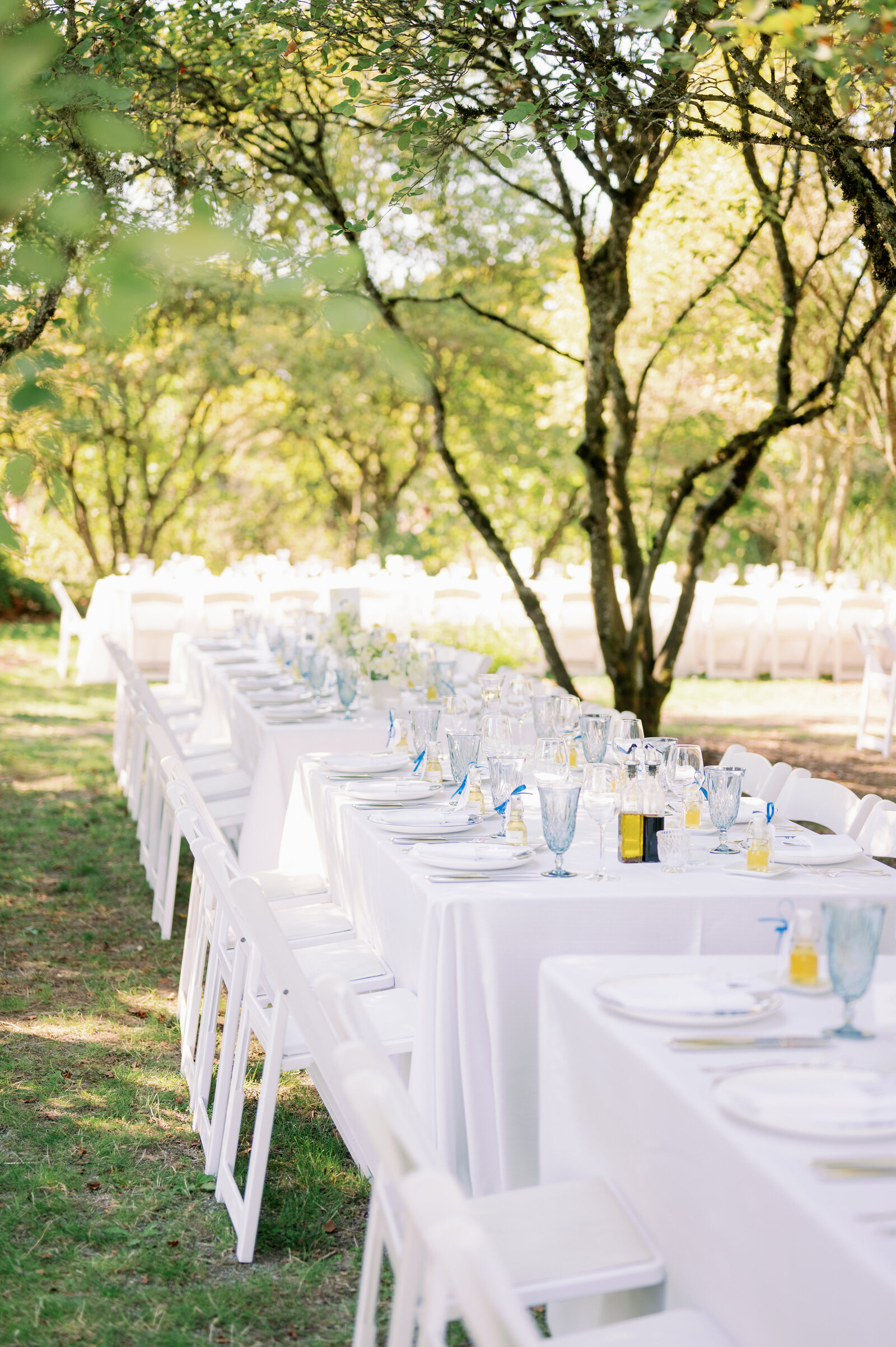 Julia-Matt-Wedding-Highlights-Cameron-Zegers-Photography-128