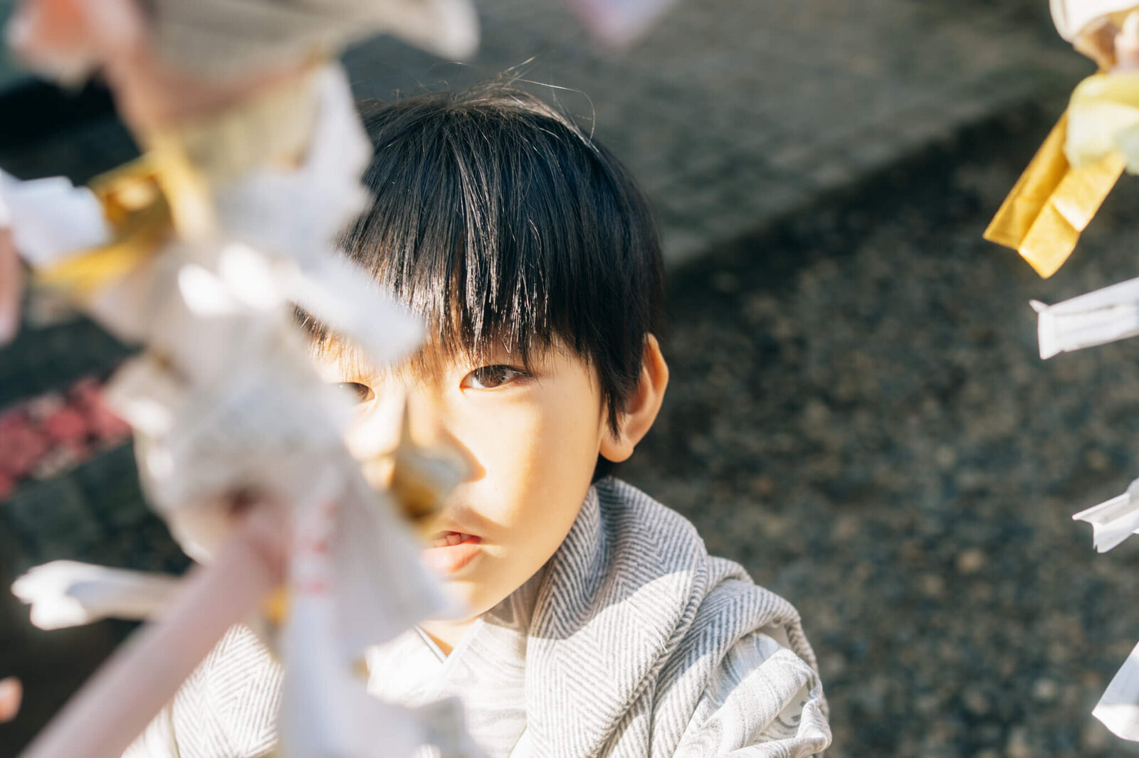柏-松戸-七五三写真35