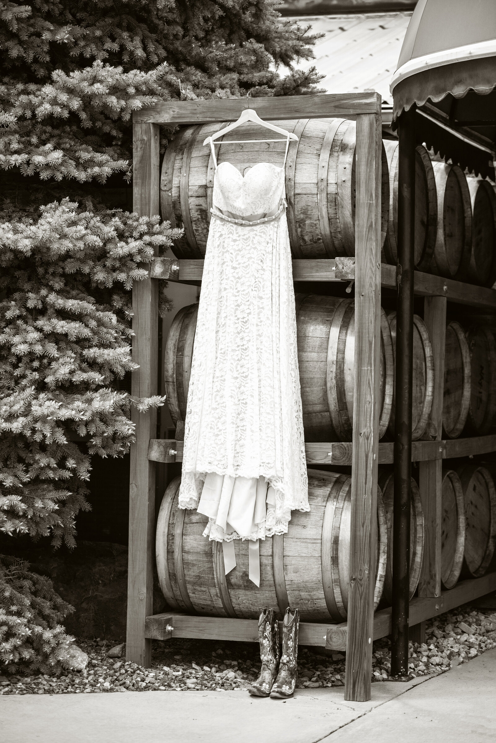DSC_2343bw