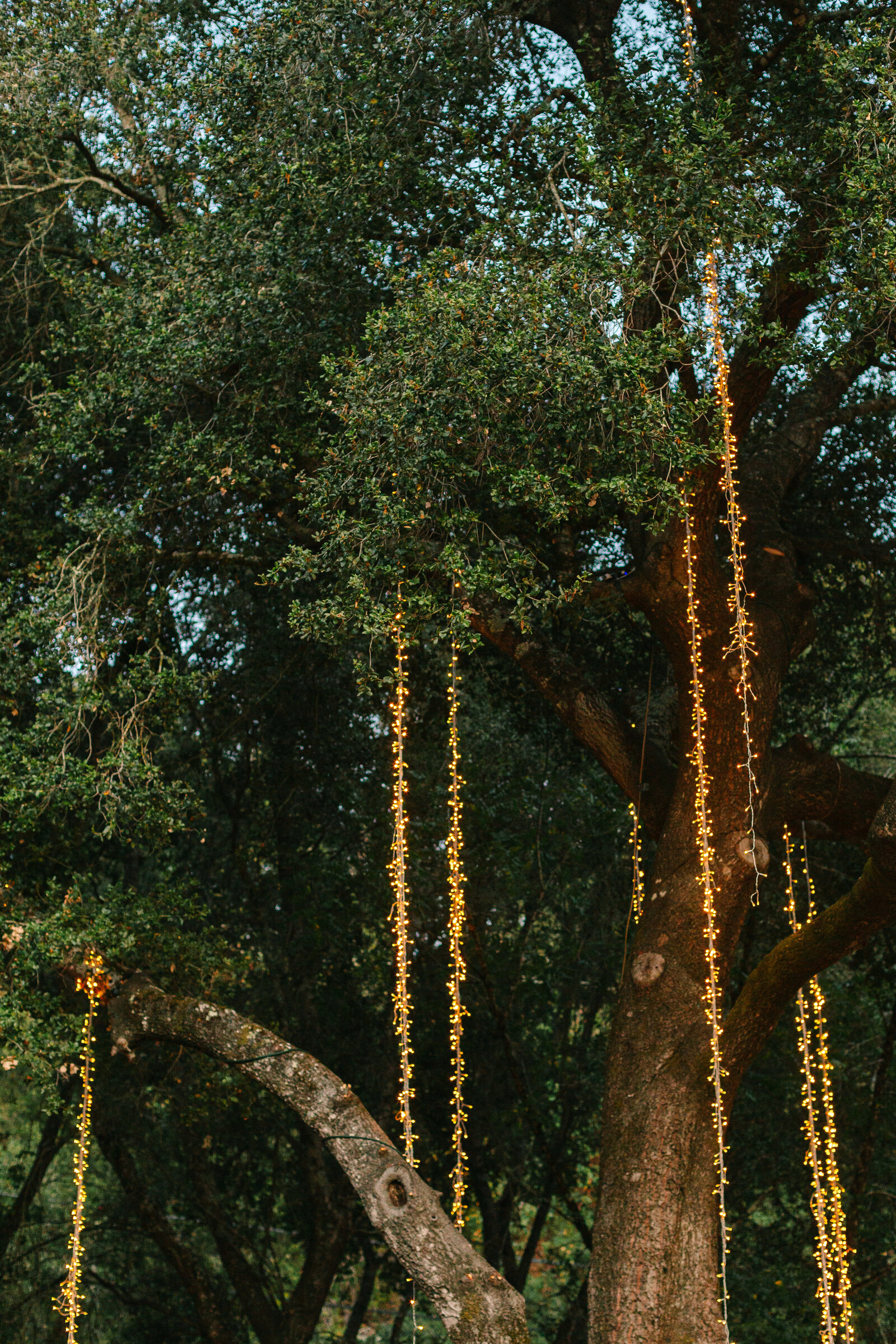 Ceremony location at night.