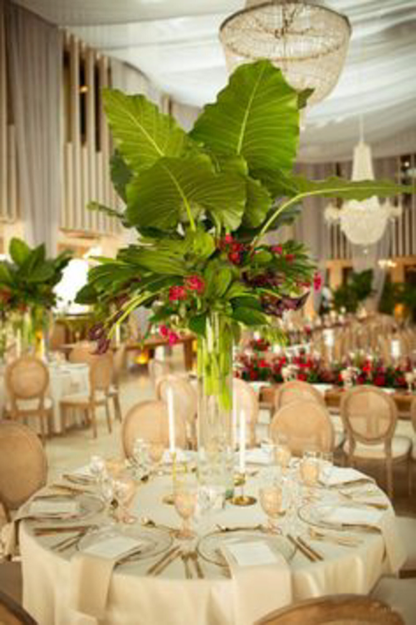 Wedding reception table with dinnerwares and chairs and has tropical themed floral centerpieces