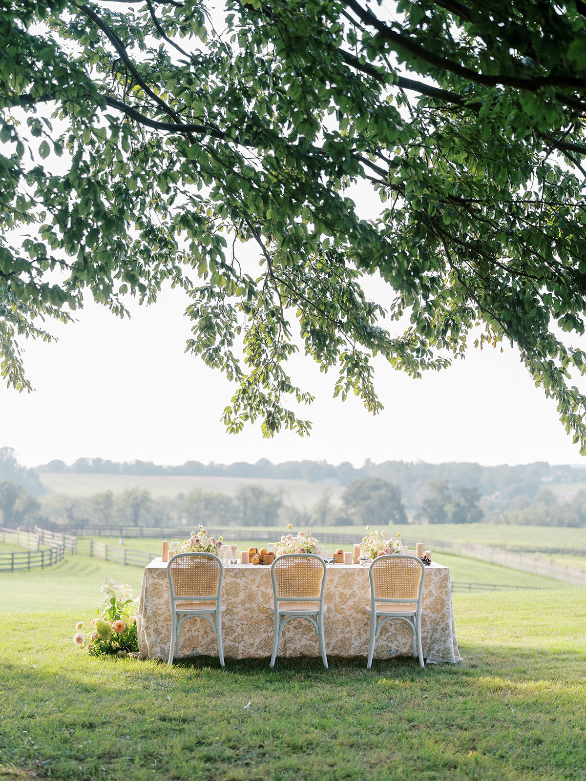 Long table with patterned linen sat upon a hill overlooking green pastures.