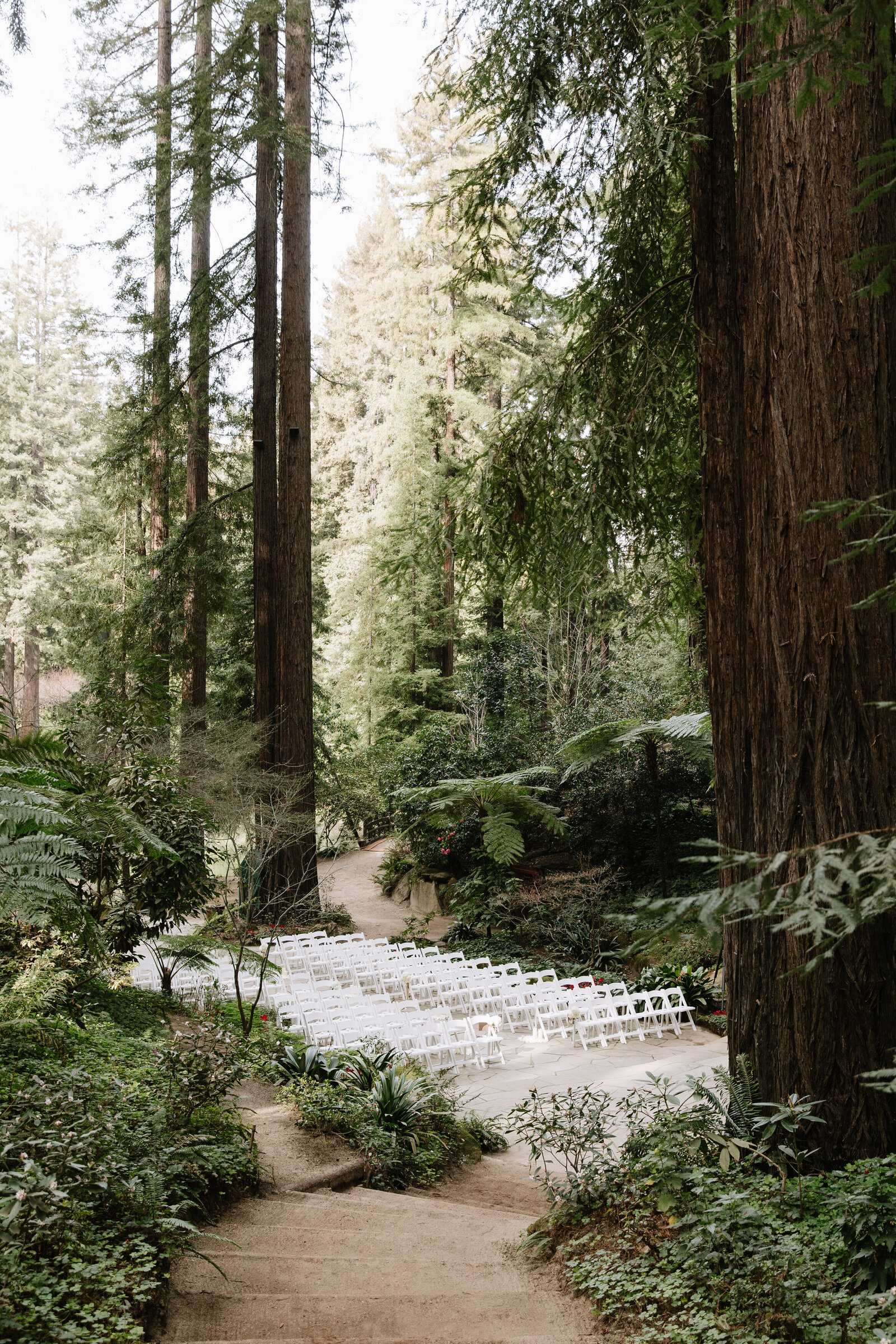 Outdoor wedding ceremony in towering redwoods by adventure elopement photographer Olympia, WA