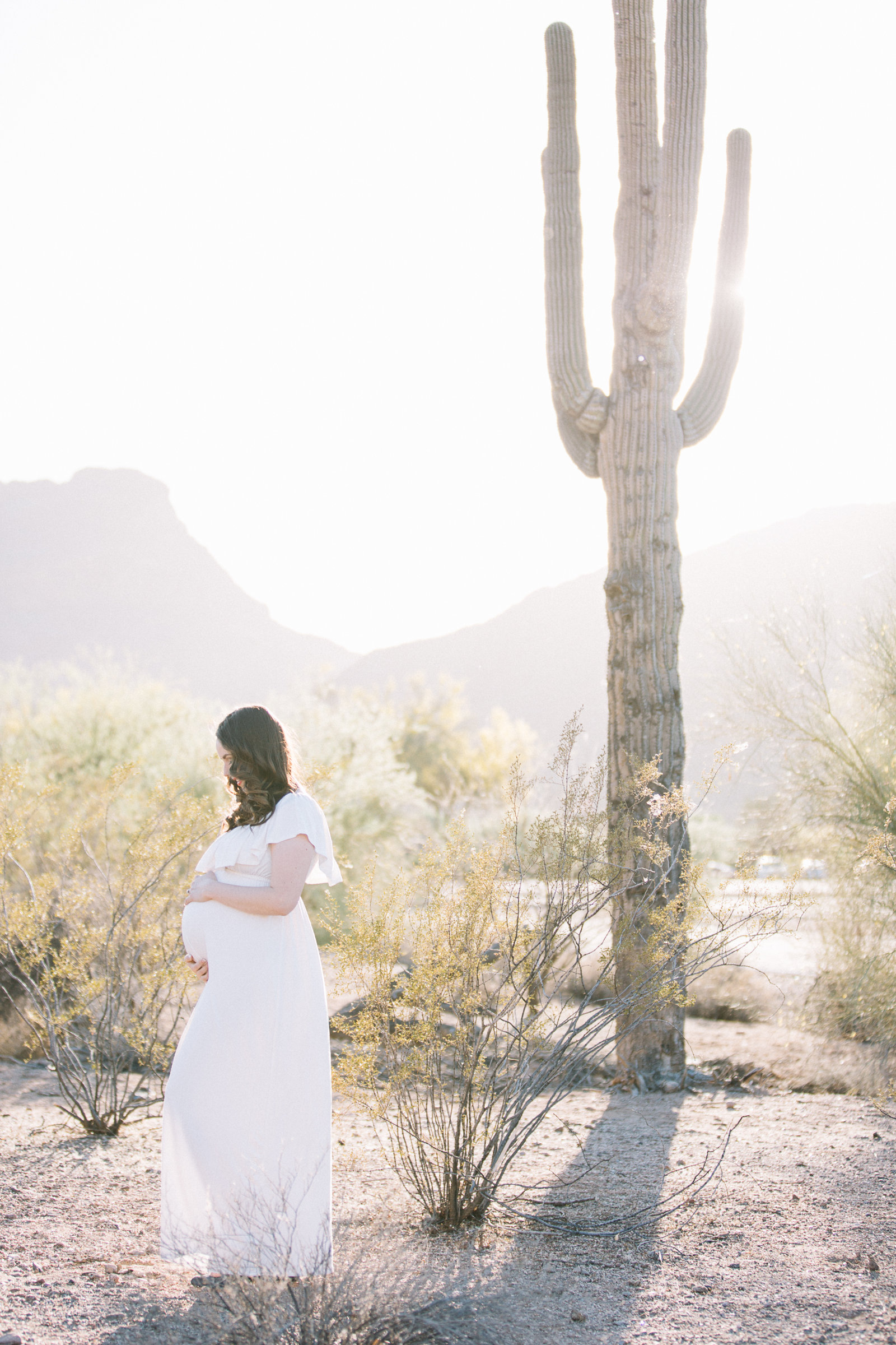 AlyKirkPhoto-ArizonaPhotographer-Phon-D-Sutton-Shasta-Robert-Maternity-0006