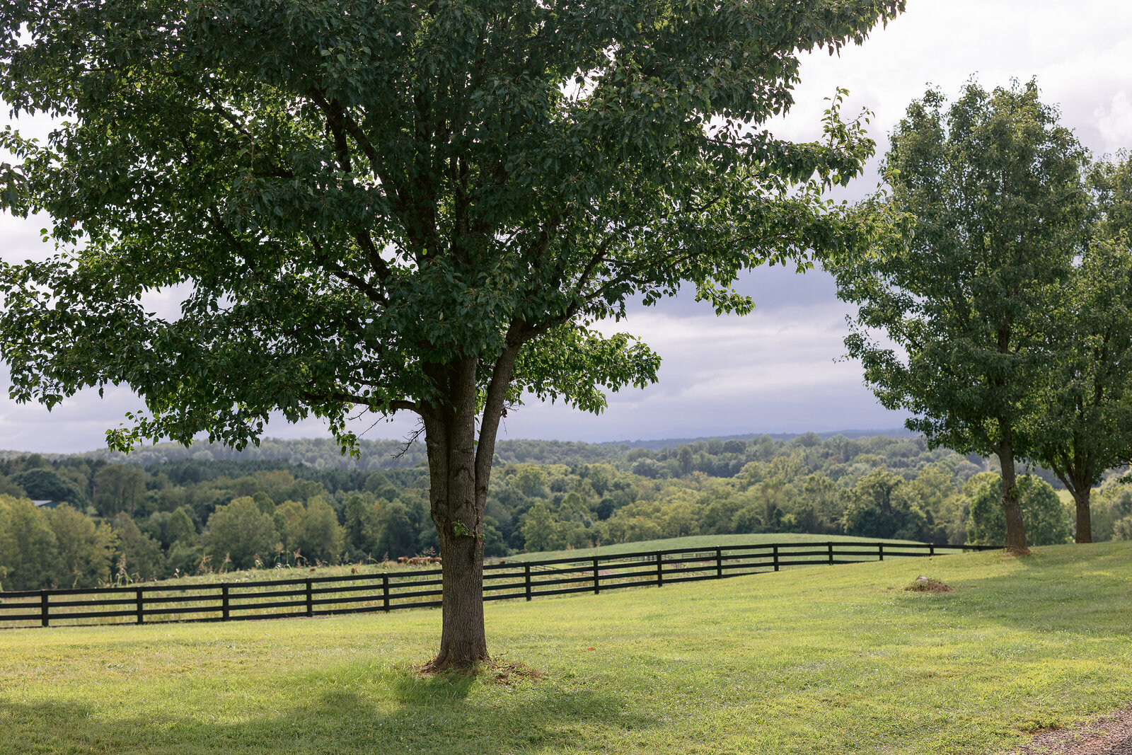 HighlandRidgeLindsayMackPhotography-0094