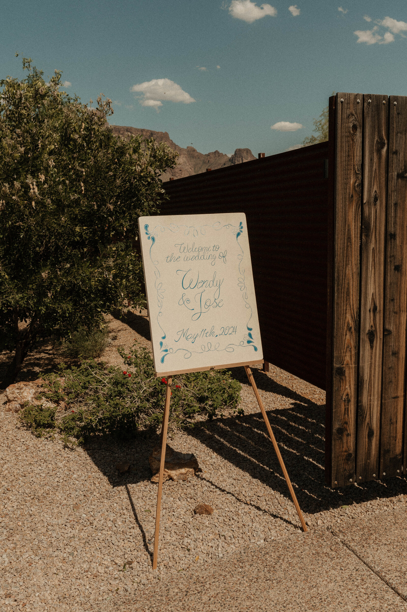 TheCarmonasWeddingAZ-4