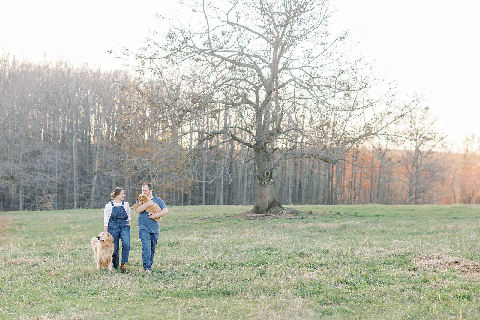 Steven, Danielle & Pups-107_websize