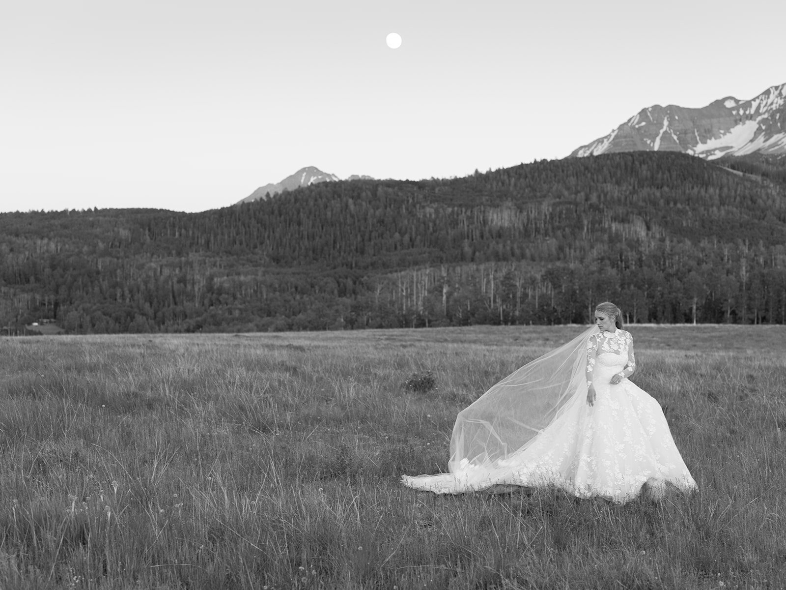 Telluride Wedding Photographer-Wedding--2370