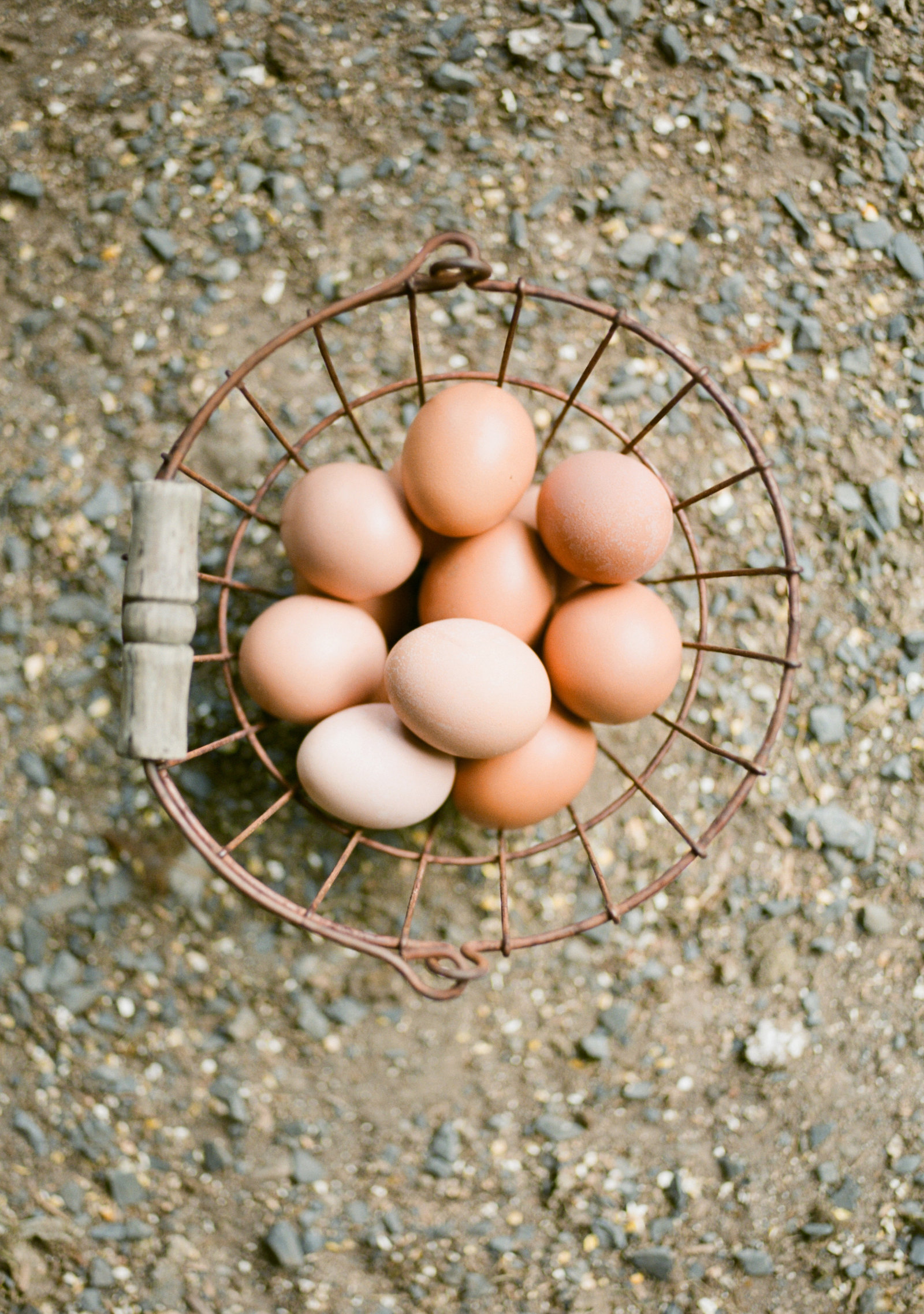 basket of eggs on dirt