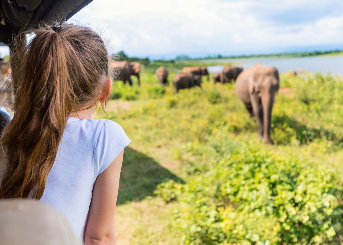 Sri-Lanka-Yala-safari-jeep-olifanten